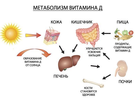 Как влияет витамин D на здоровье зубов? - Детская стоматология в Киеве -  Детский стоматолог | Клиника Mom's